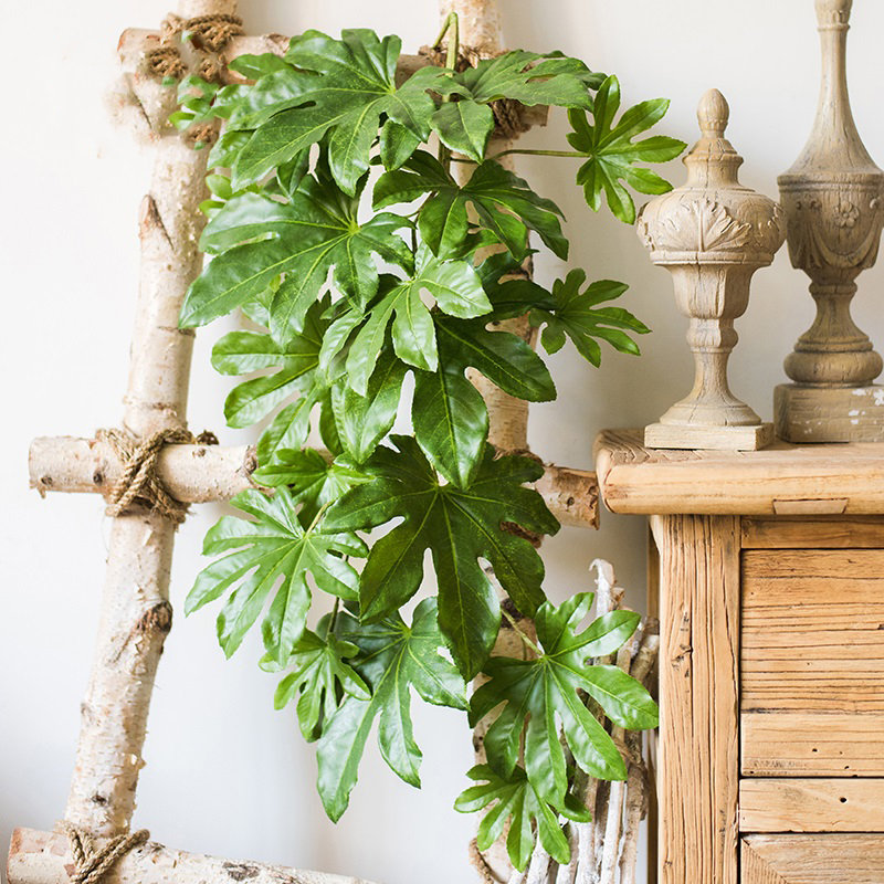 Branche de feuille de fatsia