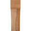 Attelle de genou Westlake-29310046-31230128-31230610