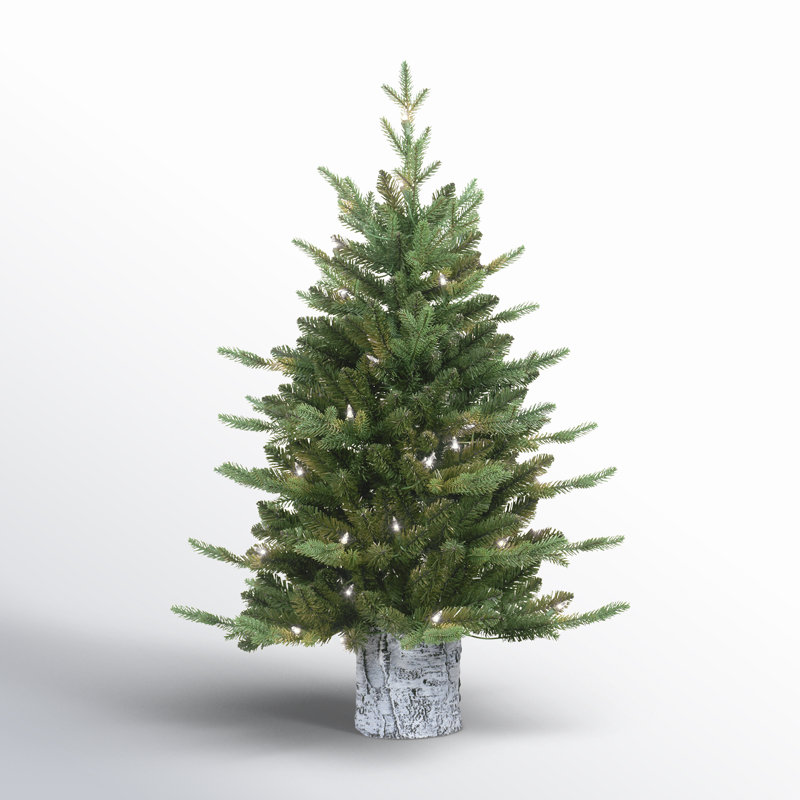 3' Lighted Pine Christmas Tree