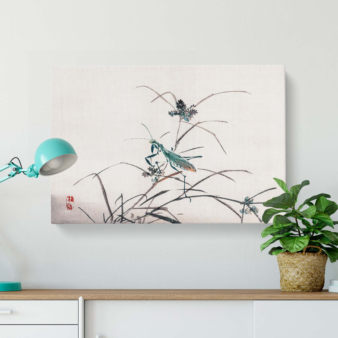 A Grasshopper by Kono Baireir - Wrapped Canvas