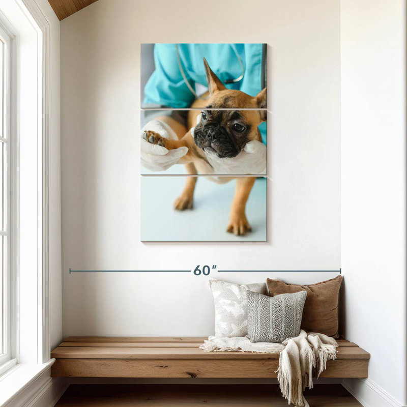 Brampt Pet Care, H 45 po x l 28 po