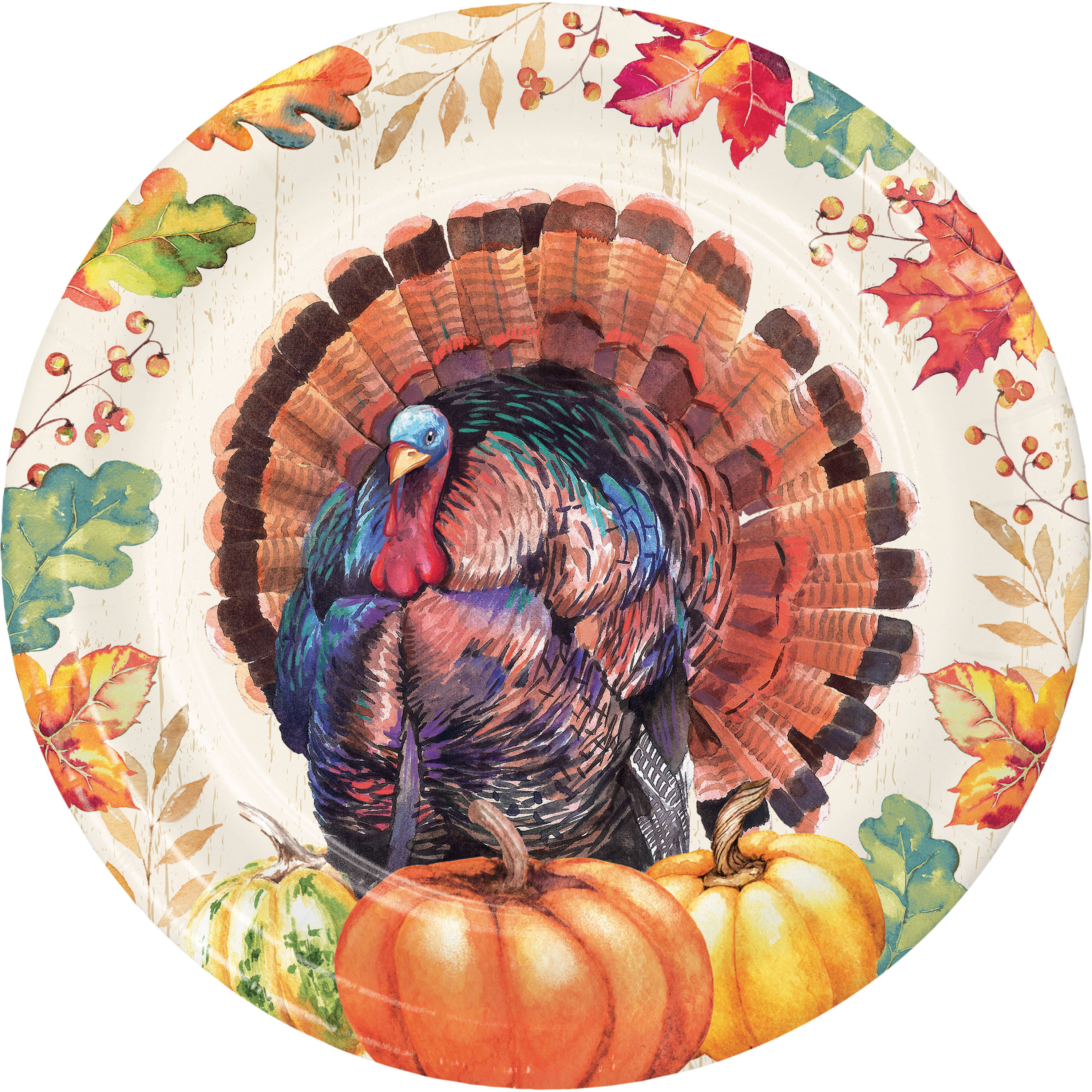 https://assets.wfcdn.com/im/08046120/compr-r85/2511/251161556/thanksgiving-turkey-dessert-plates-24-ct.jpg