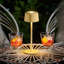 Aluminium Desk Lamp-1842907395-1842907396