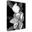  «Wraped Canvas Wall Art» par Susan S. Barmon, art mural «White Magnolia Black and White» pour le salon, la chambre à coucher ou le bureau - 35 x 47-29225531