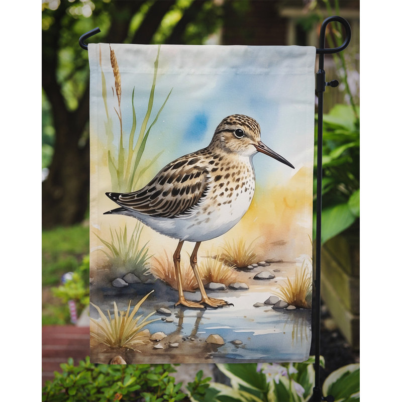 Drapeau de jardin Surfbird Bird, Bécasseau pectorale