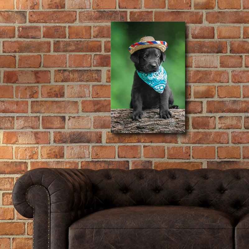 «Black Lab Pup 6» par Jonathan Ross, H 24 po x l 16 po x P 0,2 po
