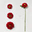 Ensemble de dahlia 17 po-86903295
