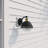 Feria Wall Light