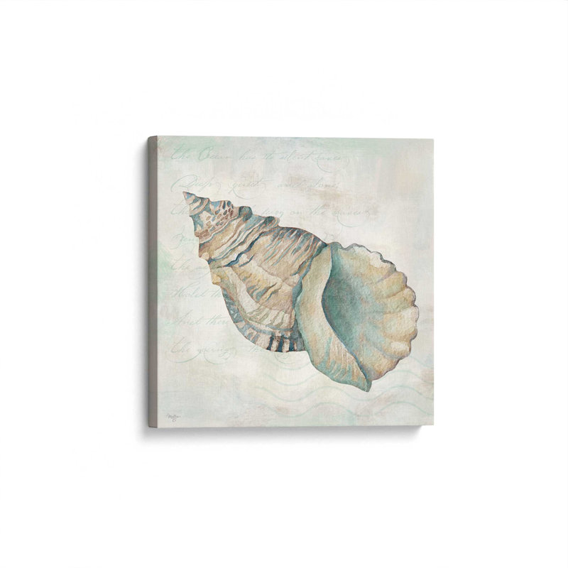«Seashells II» par Mollie B., reproduction d'art, L 36 x H 36, Ne s’applique pas, Unframed Canvas
