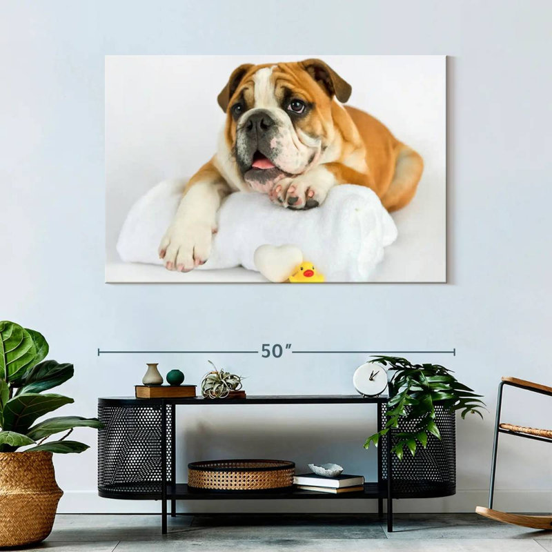 Brampt Donald I, 32" H x 48" W