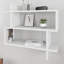 Alexson Floating Shelf