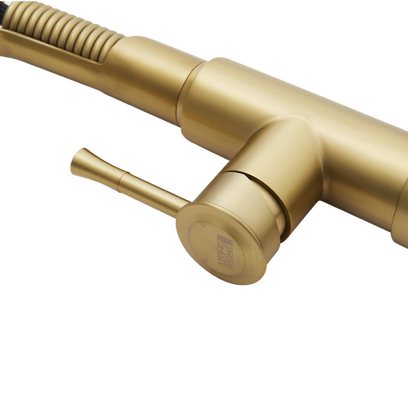 Belfry Kitchen Catawba Pull Down Kitchen Faucet, Brushed Gold