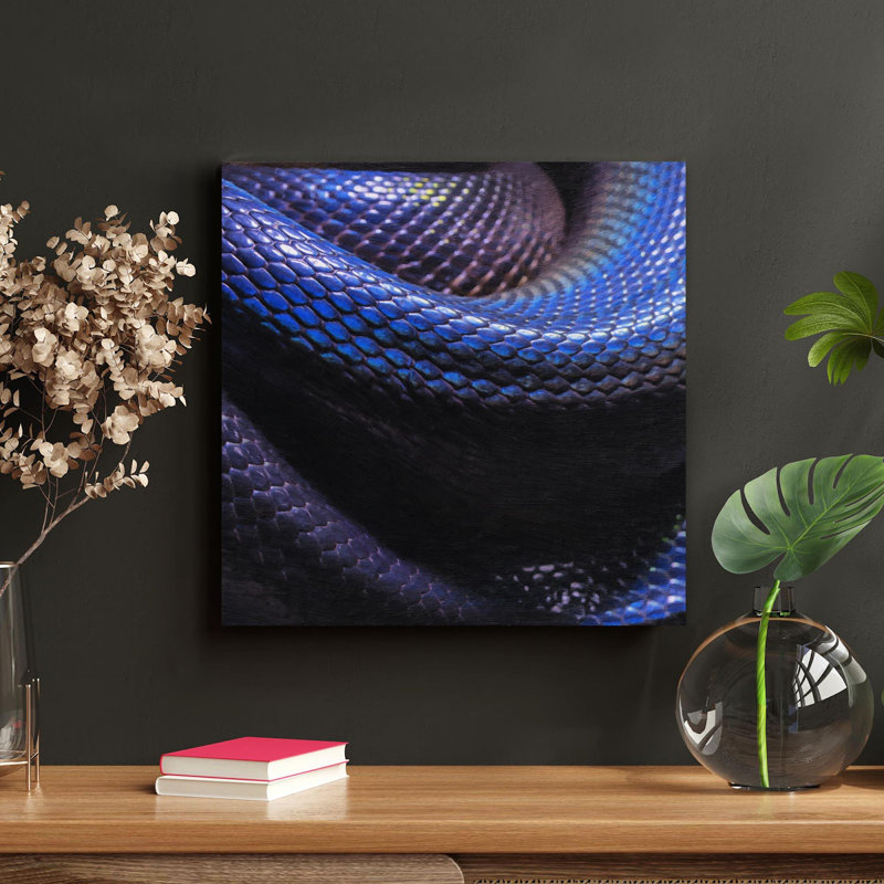 Photo de serpent noir - peinture sur toile tendue, H 32 po x l 32 po