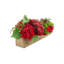 Quint Faux Floral in Planter