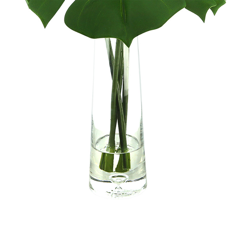 Split Leaf Philodendron In Water, 27"H x 25"W x 25"D
