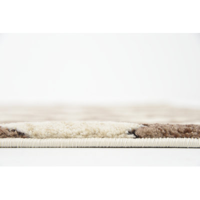 Saniveieri Geometric Indoor Rug