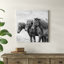 «B & W Horses X» par PHBurchett - reproduction de photo sur toile tendue