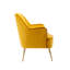 Bucholz Velvet Armchair-804572093