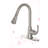 Vetta Pull Down Kitchen Faucet-100894137