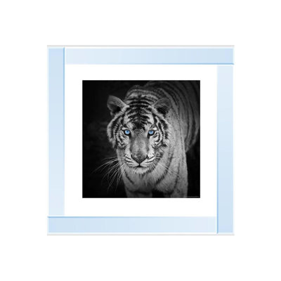 Mirror Frame Print on Canvas