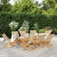 Folding Chair-845574655