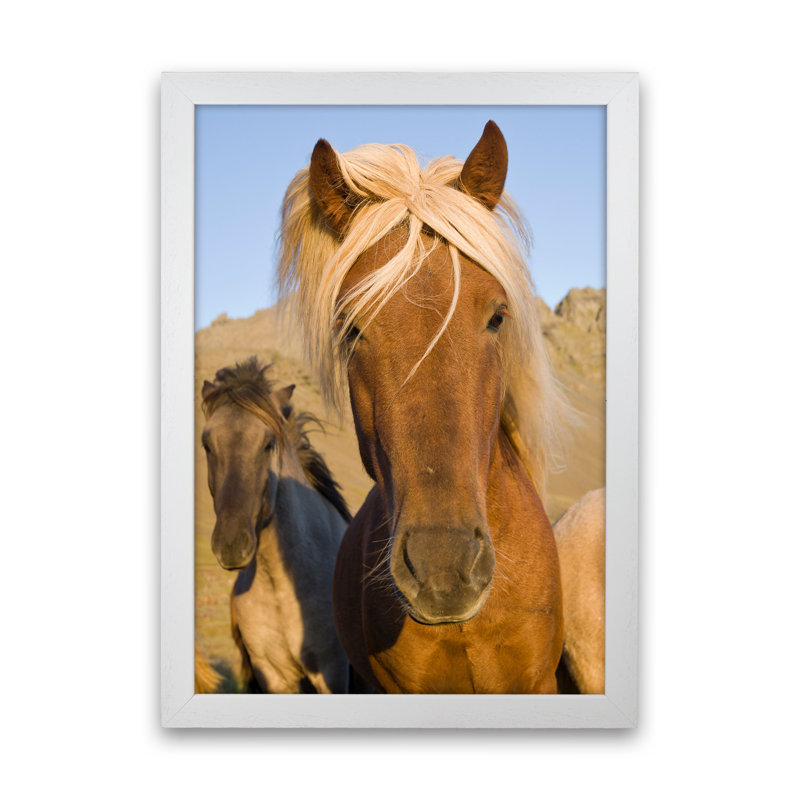 Blondie by Karsten Wrobel - Print on Canvas, 88cm H x 64cm W x 3cm D, White Framed