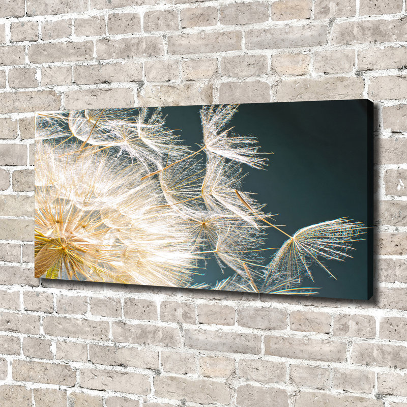Dandelion Seeds - Wrapped Canvas Print