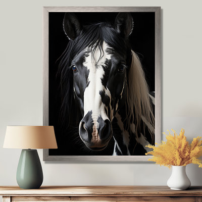 Temirlan White Black Horse Serenity II - Horse Framed Prints