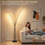 80 " Polished Arched Floor Lamp
