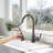 Cobbe Pull Down Kitchen Faucet-51000785