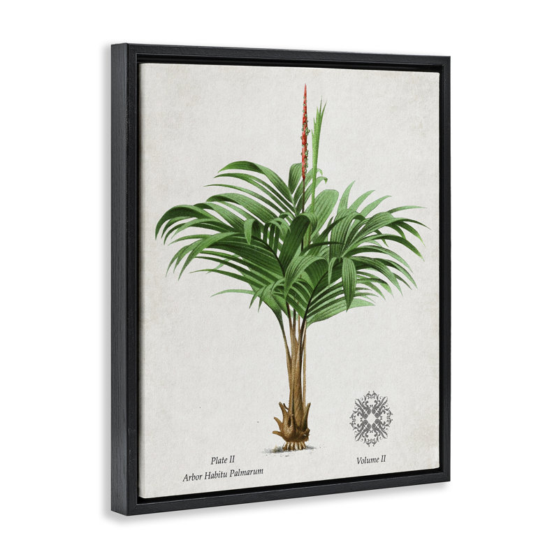 Cadre flottant Natural Palm, Cadre flottant noir de jais, H 31 po x l 25 po