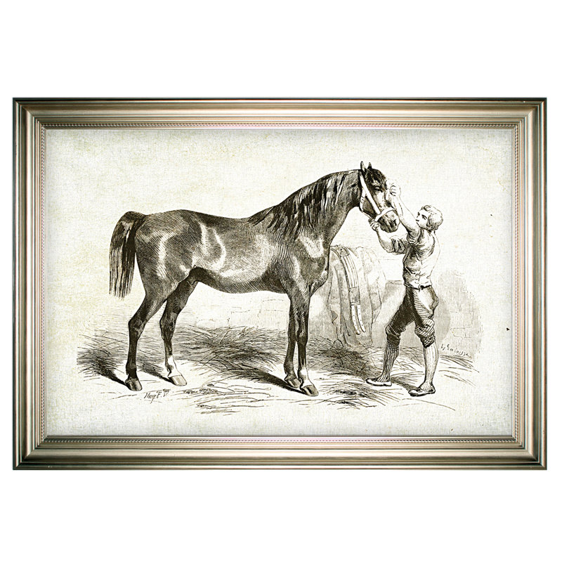 Equine Sketch V - Print on Canvas, Silver Framed, 31" H x 43" W x 1.5" D, White Mat