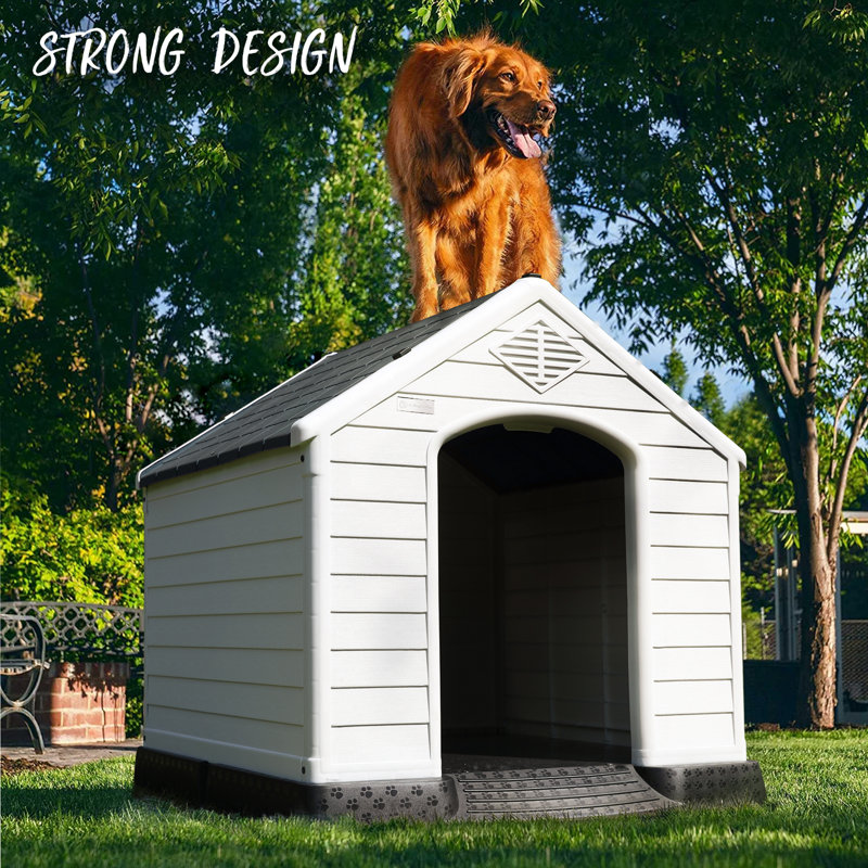 Niche pour chien en plastique Aunyae, Bleu, H 32 po x l 31 po x P 34 po