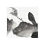 Movement V Print-26932707-26932713