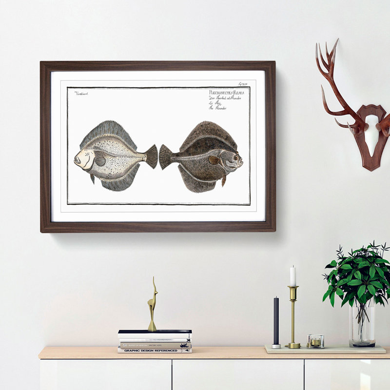 Flounder Fish by M.E. Bloch - Framed Print, Walnut Framed, 27cm H x 36cm W x 2cm D
