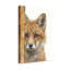 Portrait d'animaux renard-1841317027