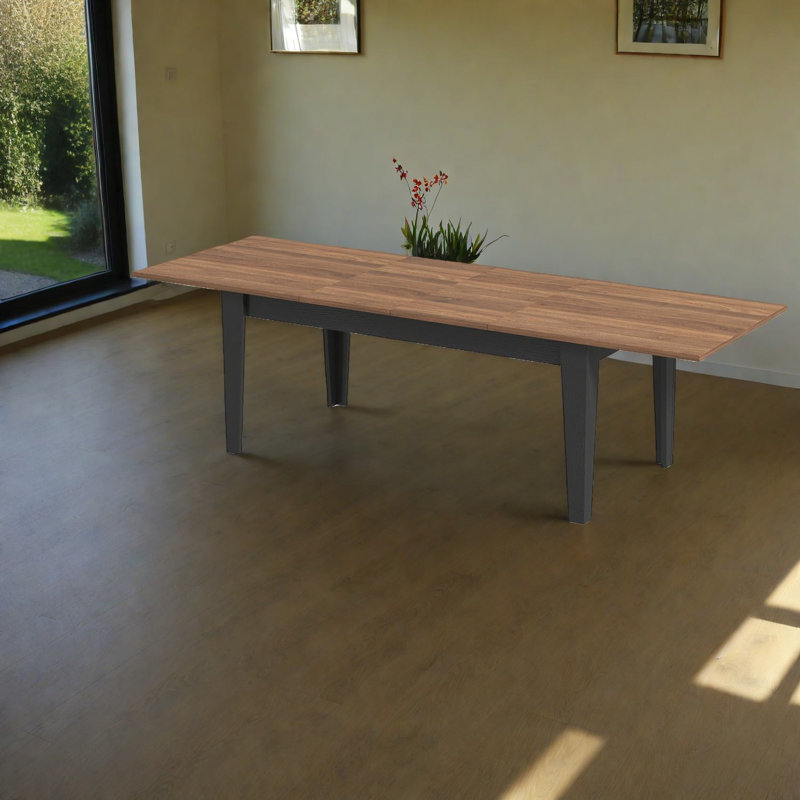 Table de salle à manger extensible en noyer, grande conception moderne pour la famille