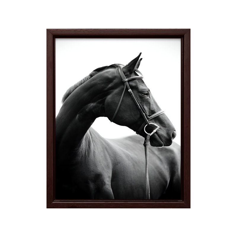 Portrait de cheval n ° 2, Canvas, 08"H x 10"W, Brown Framed