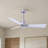 Alessandra 42'' Ceiling Fan-1421734444-1421734365
