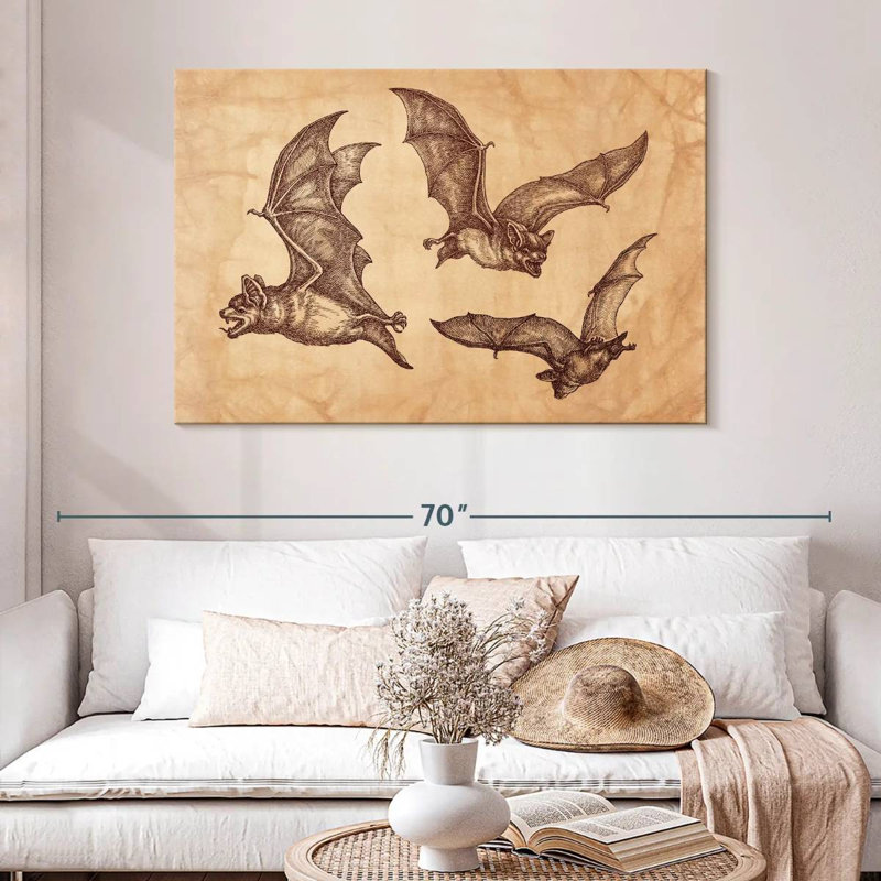 Chauves-souris Brampt, H 32 po x l 48 po