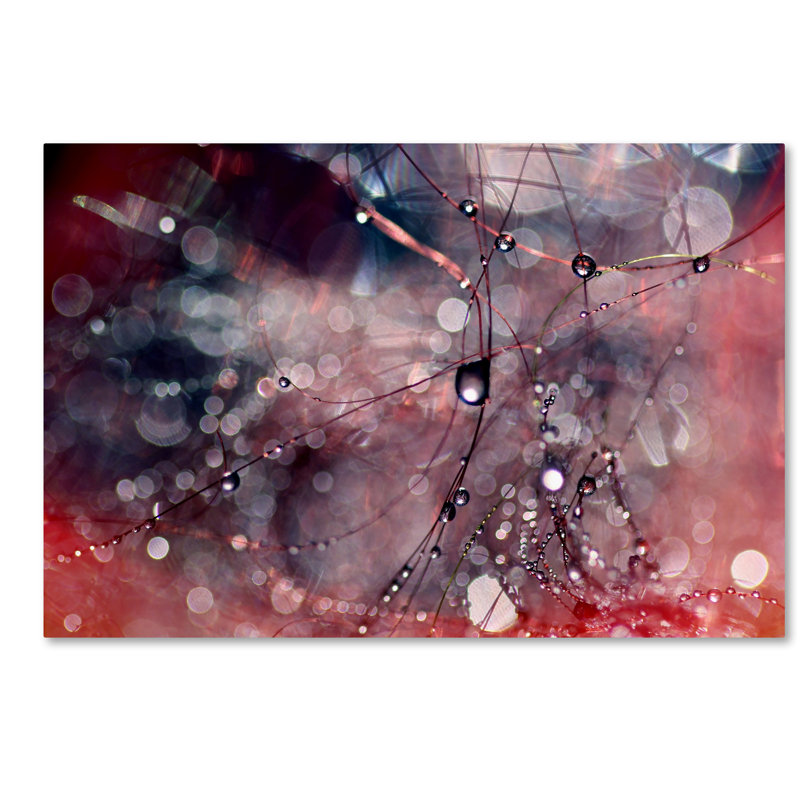 « outside the box », reproduction de photo sur toile, H 30 po x l 47 po x P 2 po