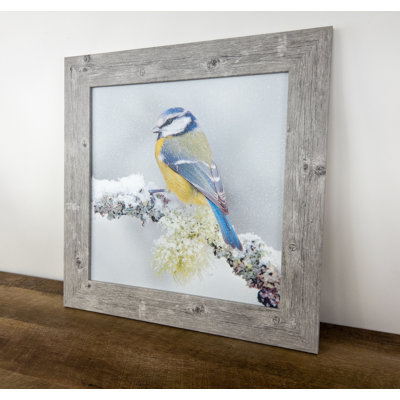 «Blue Bird Bluebird Spring Flower», impression sur toile encadrée