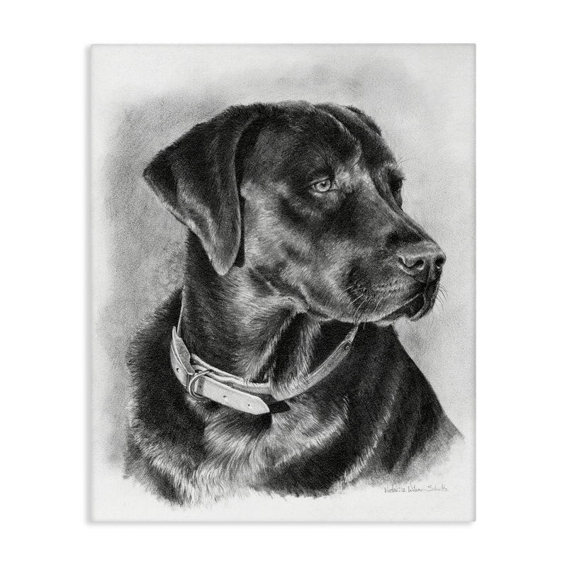 «Black Lab», art mural sur toile par Victoria Schultz, H 20 po x l 16 po