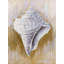 Impression conique sur toile conique
