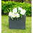 Planter-233710360-169870436