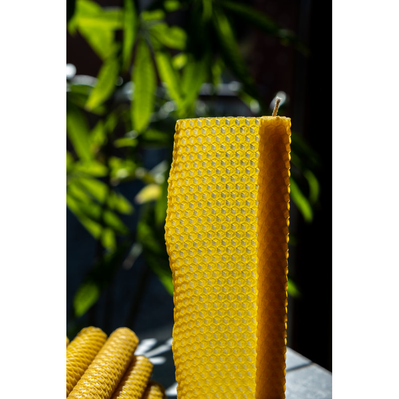 Unscented Taper Candle