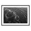 Wave Pattern - Picture Frame Photograph on Paper-74856073-87888634