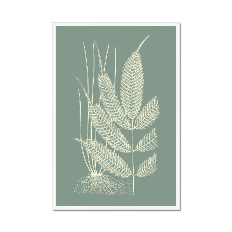 Ferns on Sage II by Vision Studio - Wrapped Canvas Painting Print, 46cm H x 30cm W, Paper Print