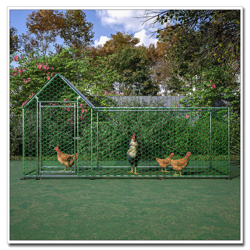 Parc à poules en métal 10 x 3 pi avec couvercle