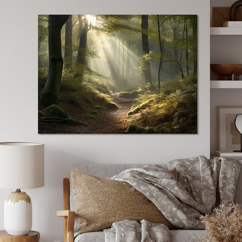 La lumière traverse la forêt III - impression, H 34 po x l 44 po x P 1,5 po, Toile tendue